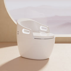 xylivingstore Fully Automatic Smart Toilet with Armrests | Sterilization, Disinfection & Automatic Flushing for Modern Homes