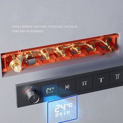 6080 Hidden Ceiling Recessed Wall - Mounted Massage Shower Set