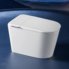 New Arrival: Smart One-Piece Ceramic Toilet - Floor Mounted & Fully Automatic