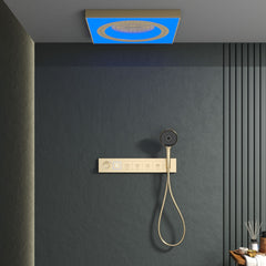 6080 Hidden Ceiling Recessed Wall - Mounted Massage Shower Set