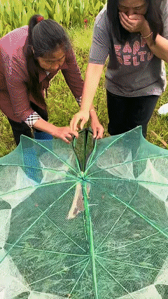 Foldable Hexagon Octagon Fishing Net 6/8/10 Holes Nylon Retractable Fish Trap for Shrimp, Crab, Eel & Lobster