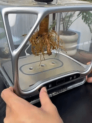 Smart Mist Hydroponic Growing System Pro Desktop Aeroponic Planter for DIY Moss Terrariums & Soilless Indoor Gardening
