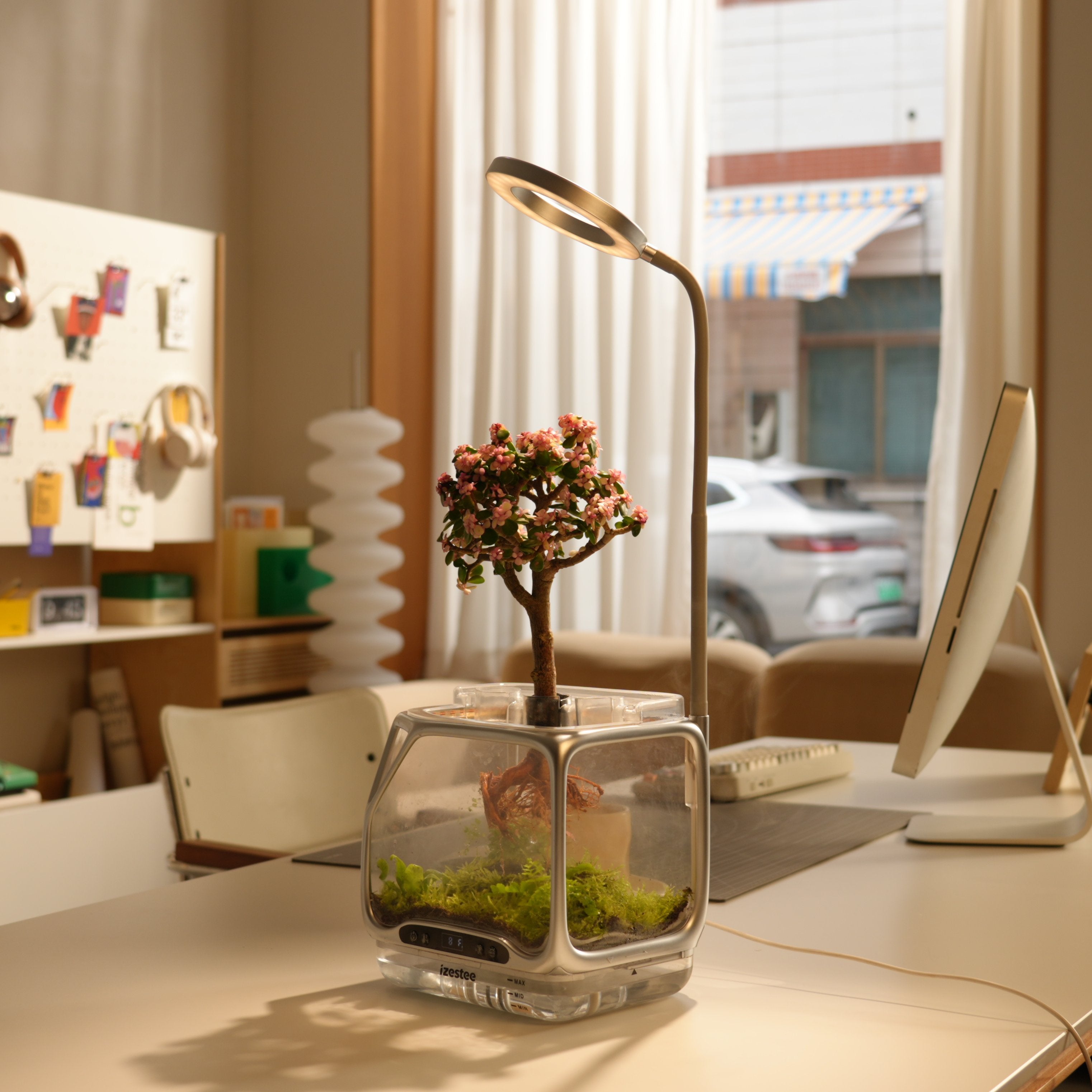 Smart Mist Hydroponic Growing System Pro Desktop Aeroponic Planter for DIY Moss Terrariums & Soilless Indoor Gardening