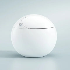 XYlivingstore Egg-Shaped Smart Toilet with Heated Seat | Floor-Mounted Auto Flush Siphon Jet WC with Sensor