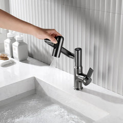 Rotatable Single-hole Faucet with Temperature Display & Pull-out Sprayer