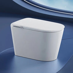 New Arrival: Smart One-Piece Ceramic Toilet - Floor Mounted & Fully Automatic