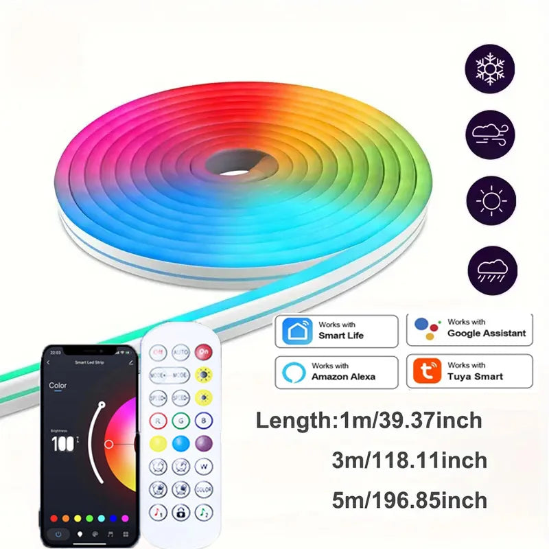 USB RGB Neon LED Strip Lights with App Control and Smart Voice Support