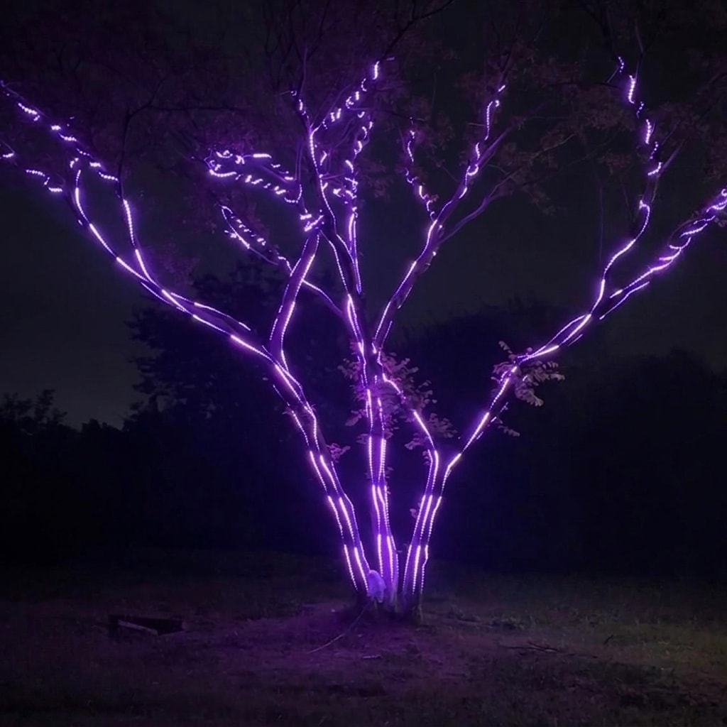 Outdoor RGB LED tree lighting strip installation 6