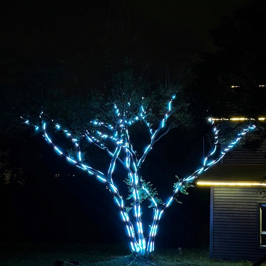 Outdoor RGB LED tree lighting strip installation 9