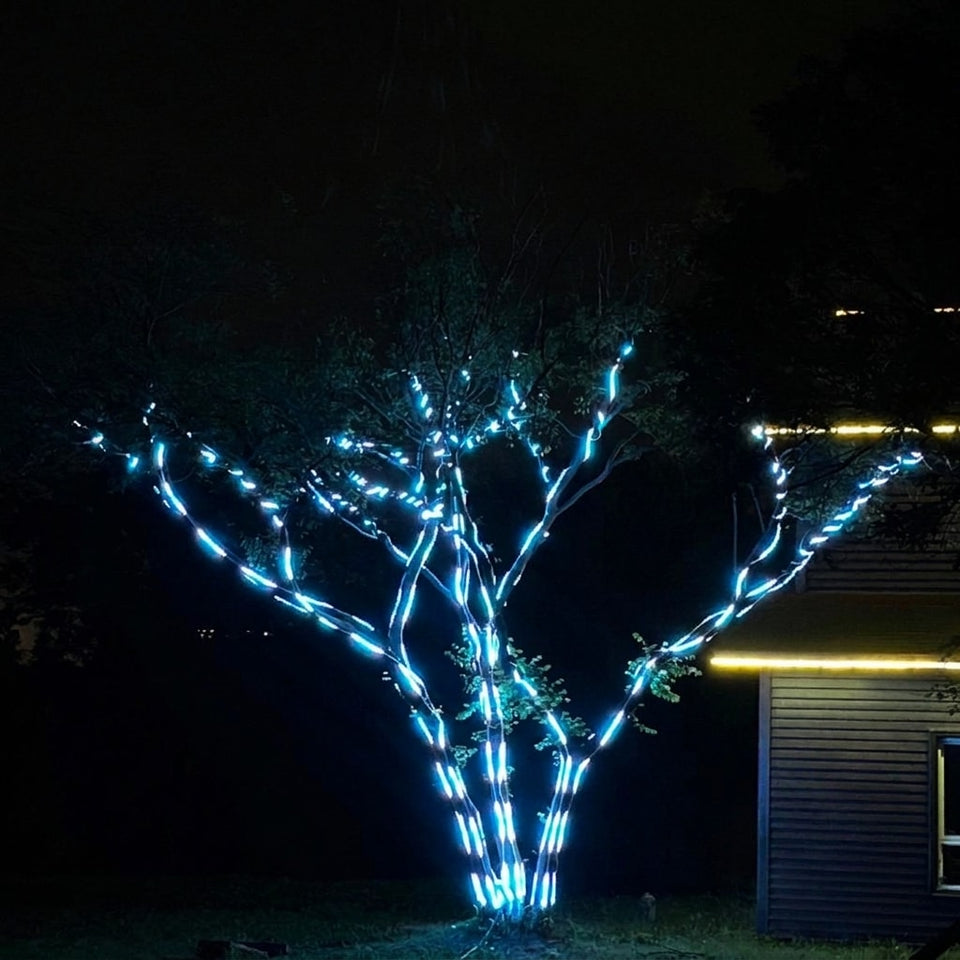 Outdoor RGB LED tree lighting strip installation 9